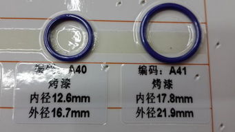 服装辅料 从塑料调节扣到环保内衣扣，微小部件的无限可能